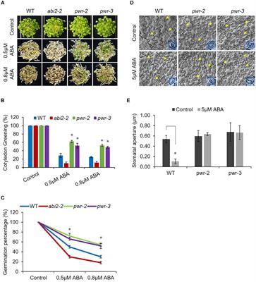 PWR/HDA9/ABI4 Complex Epigenetically Regulates ABA Dependent Drought Stress Tolerance in Arabidopsis